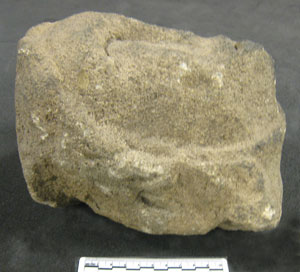 View of Stone Head (AN1912.2)