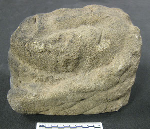 View of Stone Head (AN1912.2)